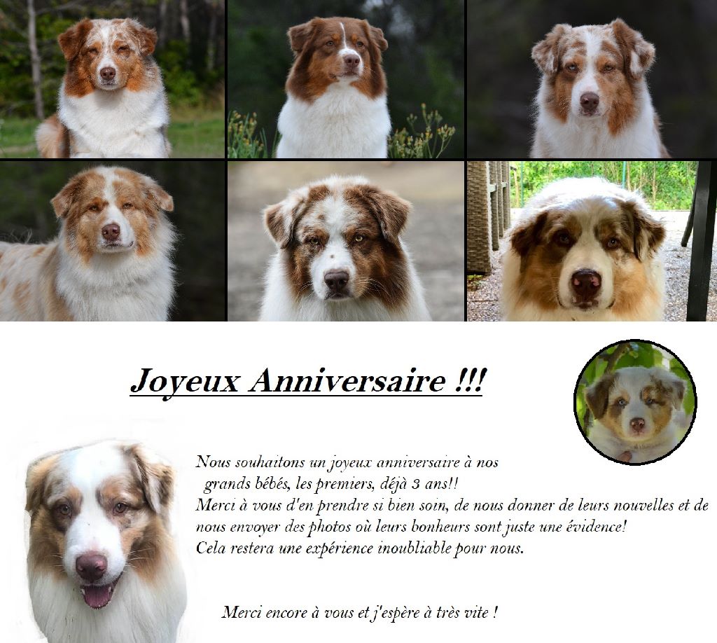 Des Bergers Du Temple Maya - 3 ans!!!