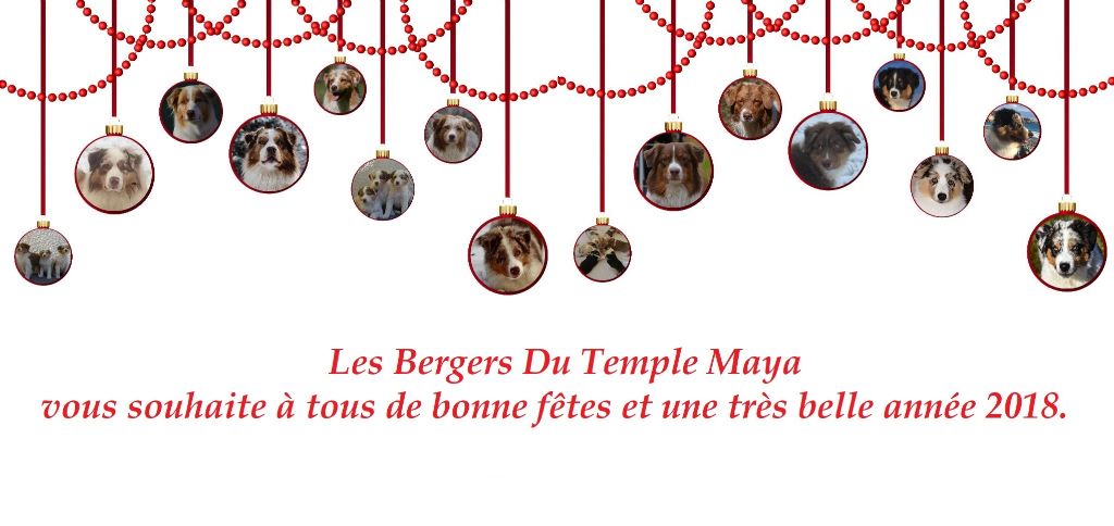 Des Bergers Du Temple Maya - De joyeuses fêtes à tous :)
