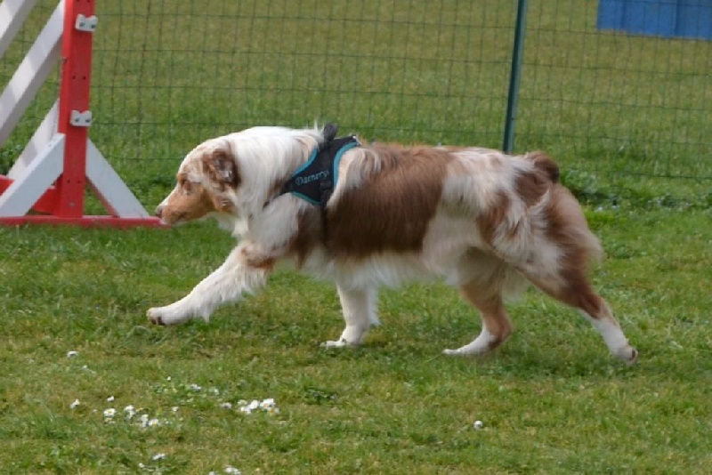Agility
